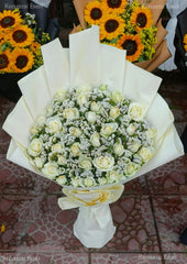 Elegant White Roses in White Wrap